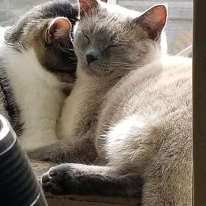 Meet your Posher, Nancy